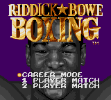 Riddick Bowe Boxing screenshot 4 for Sega Game Gear